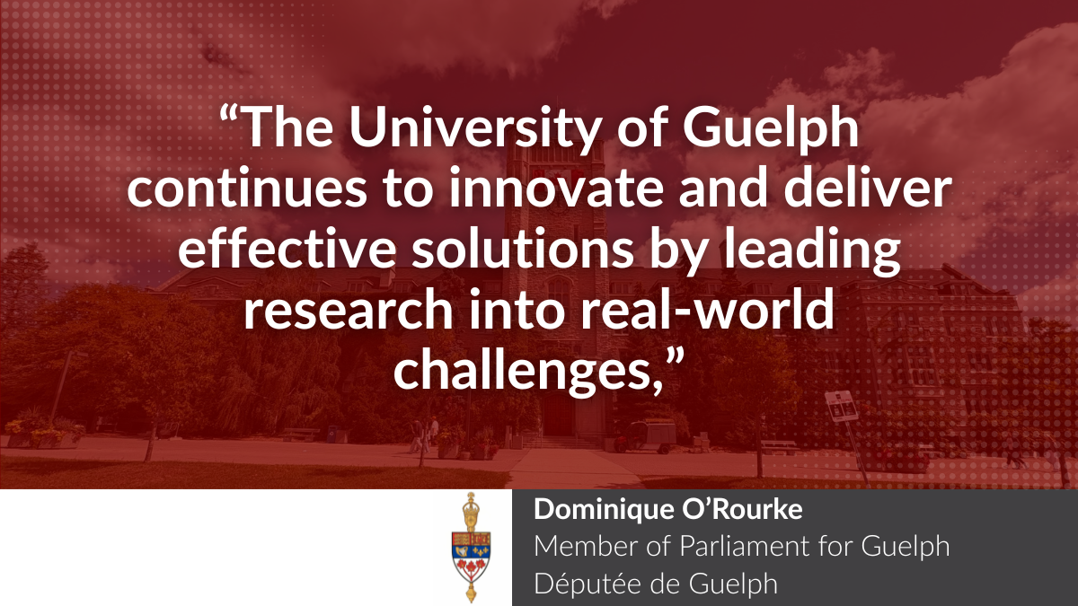 U of G Researchers Awarded NSERC Prizes, Showcasing Impactful Innovation